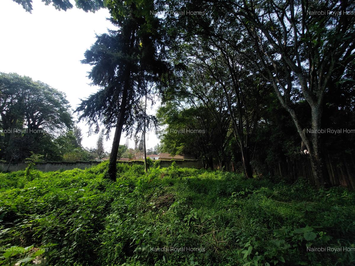 Commercial Land at Redhill Road - 1