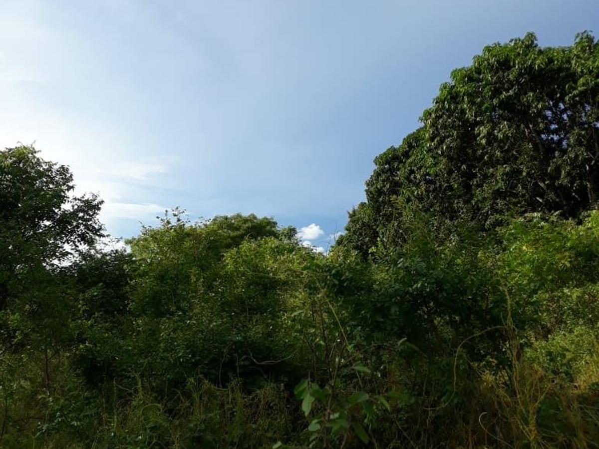 4,047 m² Commercial Land in Kilifi County - 3