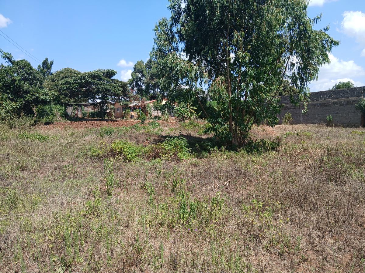 Commercial Land at Lusingetti - 7