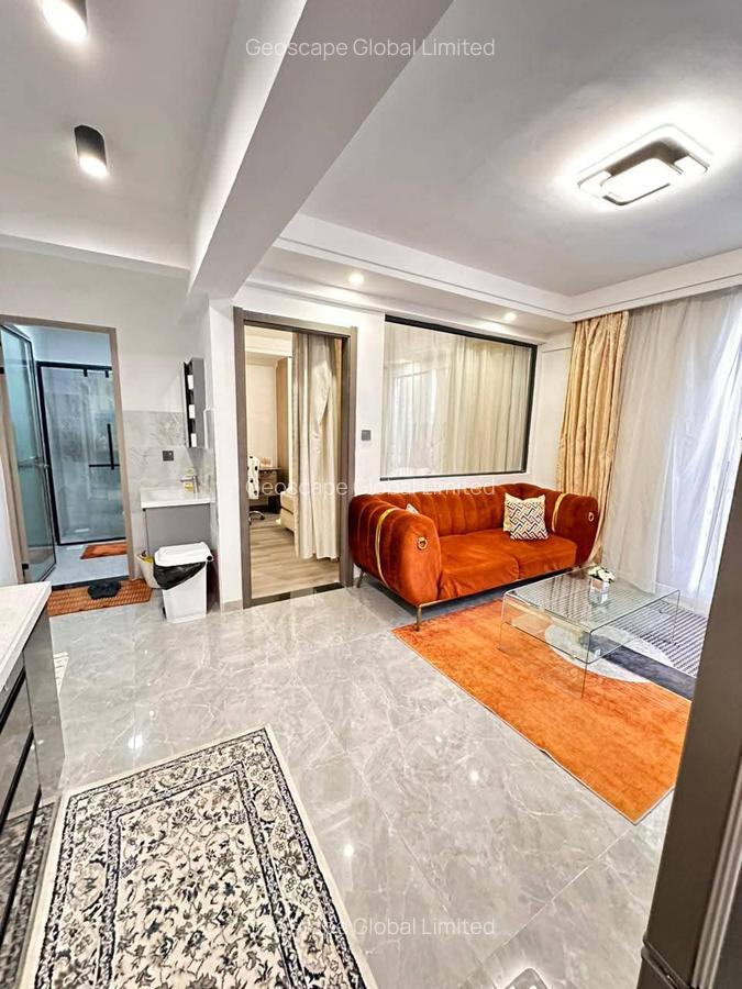 Furnished 1 Bed Apartment with En Suite in Nyari - 3