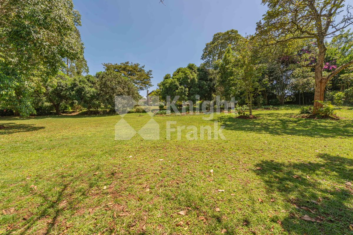 4.3 ac Land at Pepo Lane - 5