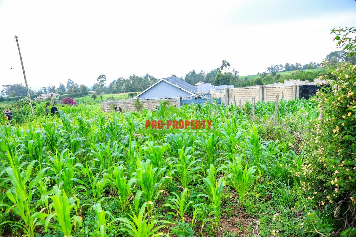 0.06 ha Residential Land at Kamangu - 4