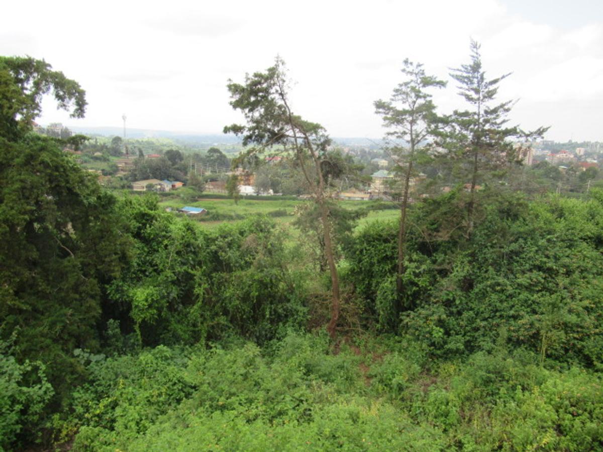 Land at Ngong Town - 6