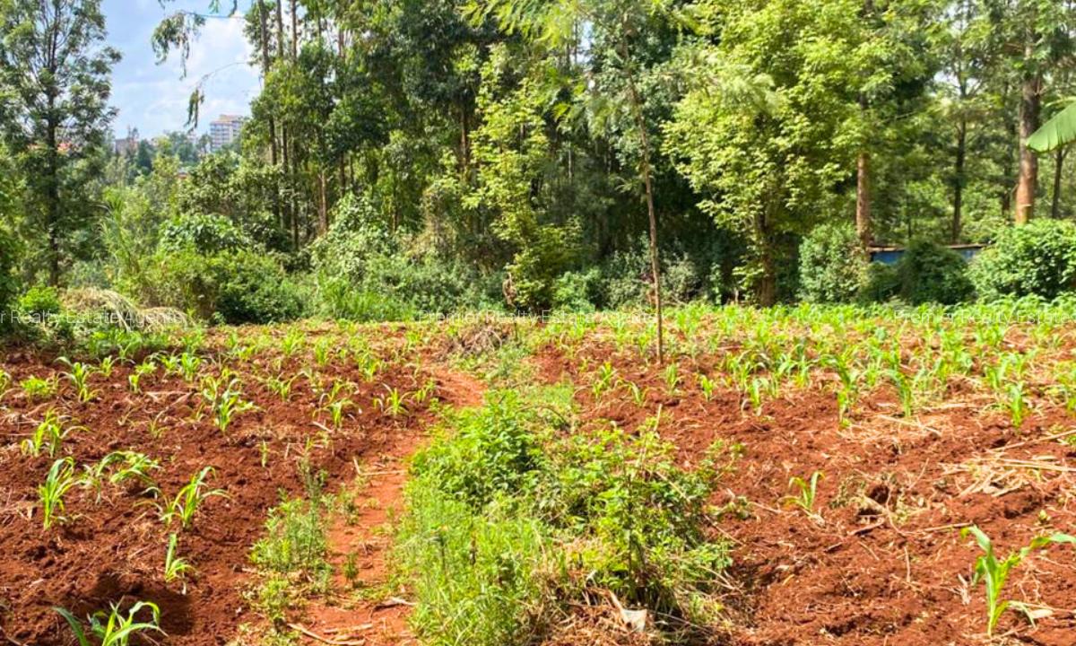 1 ac Land at Muchatha - 8