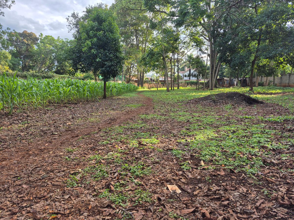 Land in Thigiri - 9