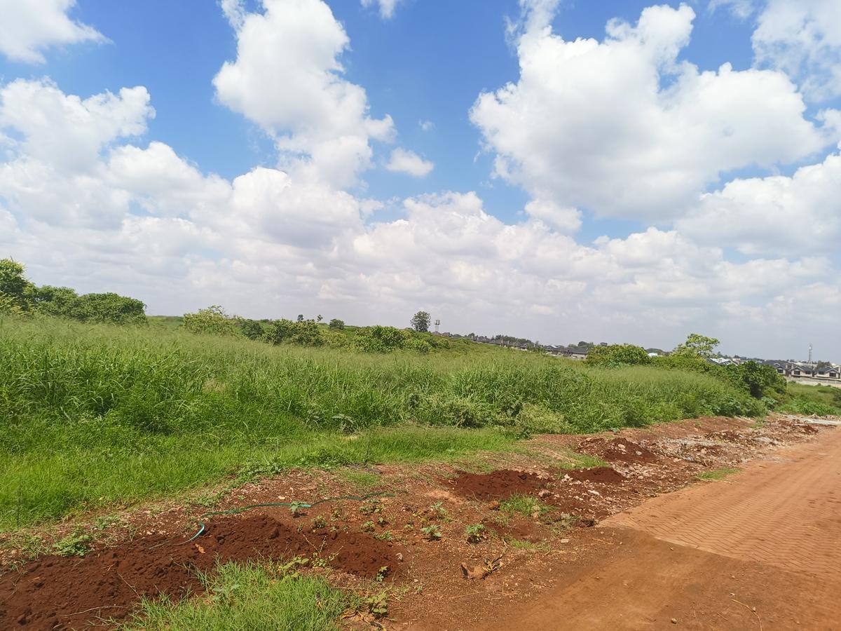 25 ac Land at Off Paradise Lost Road - 4