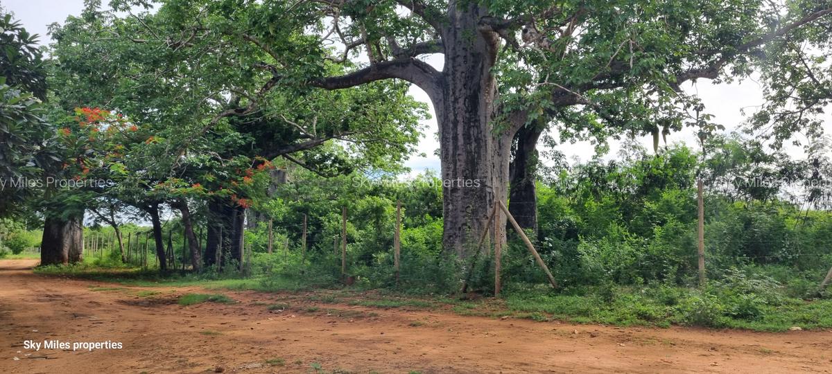6 ac Land at Kilifi - 3