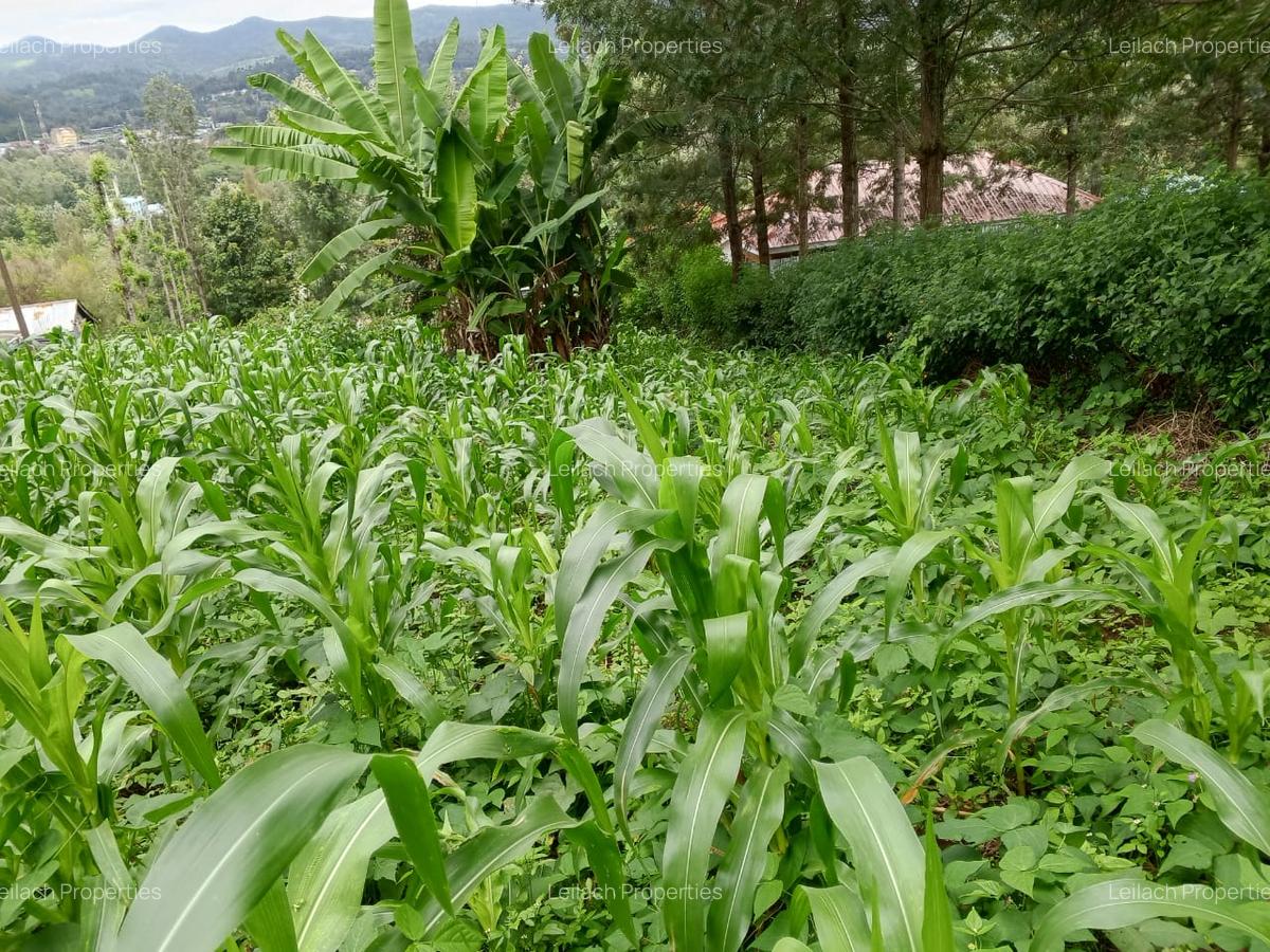 0.25 ac Residential Land in Ngong - 1