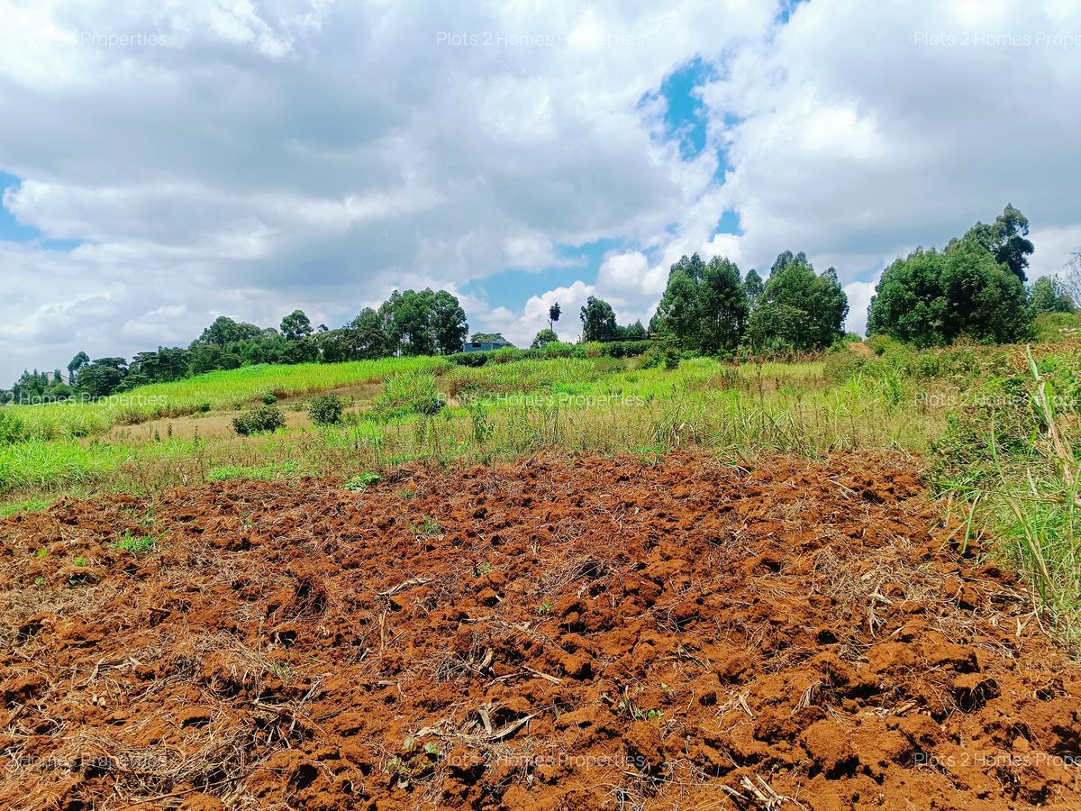 500 m² Residential Land at Jambu Tv - 12