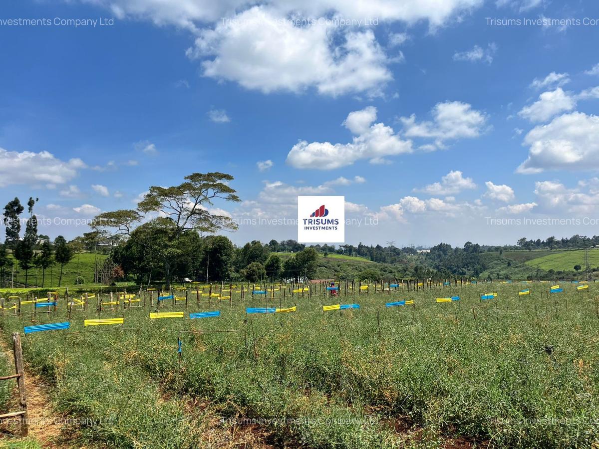 16.5 ac Land in Tigoni - 6