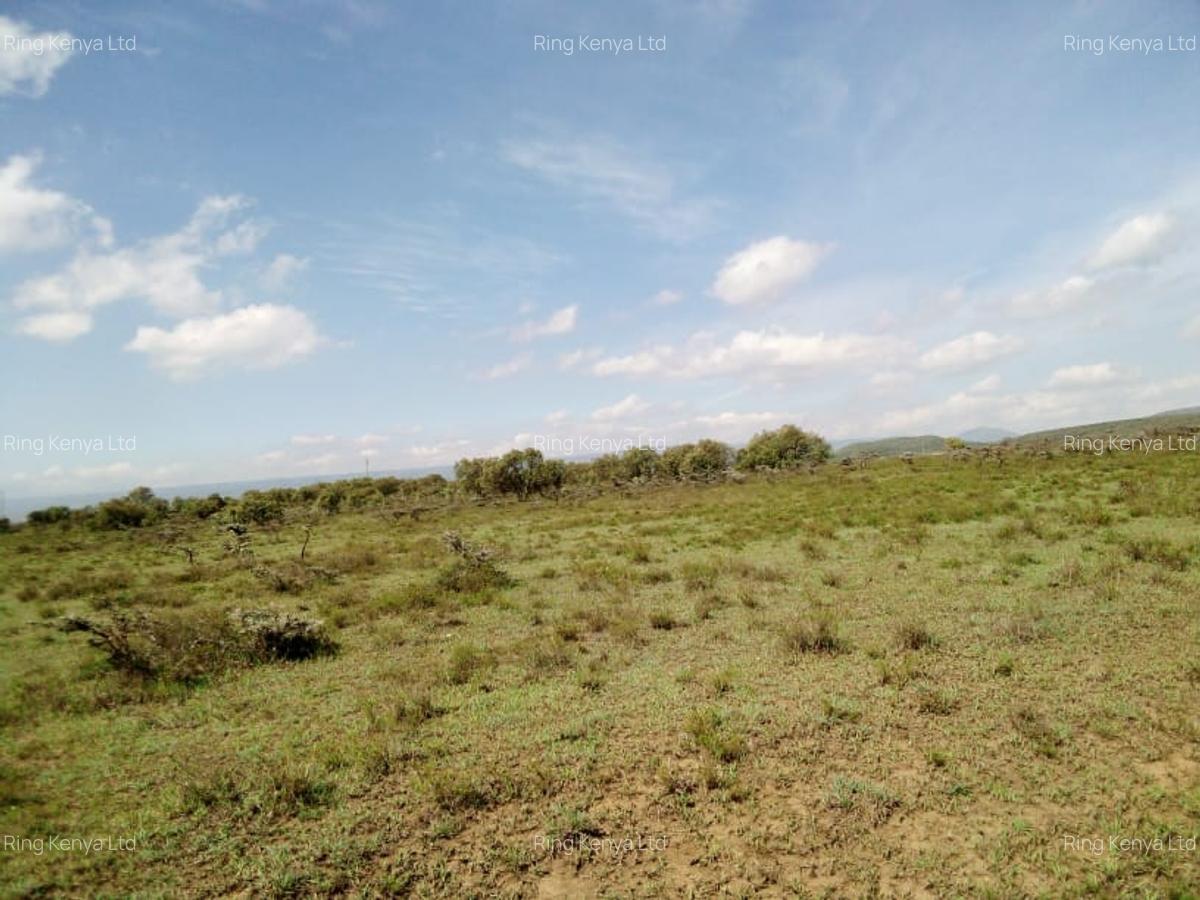 Land in Naivasha - 4
