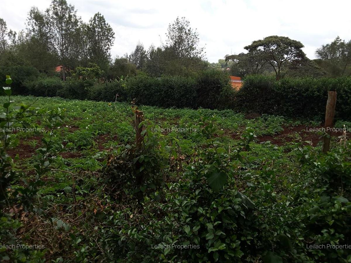 0.25 ac Residential Land in Ngong - 2