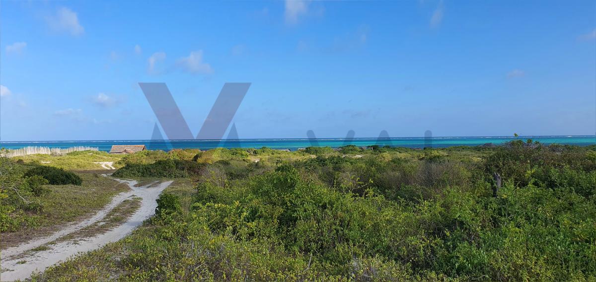 0.125 ac Land at Casaurina Watamu Road - 7