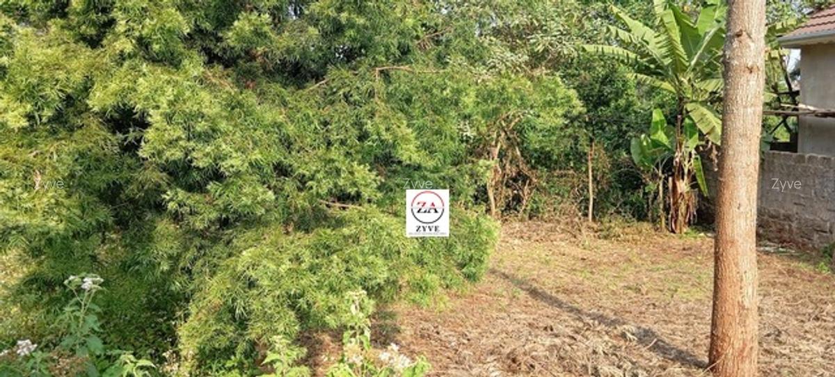 0.125 ac Land at Near Norbrook Kenya Ltd - 10