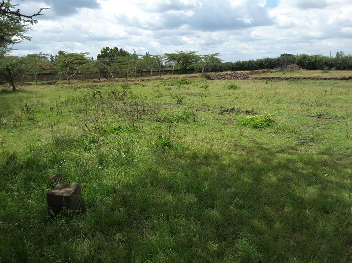 500 m² Residential Land in Ongata Rongai - 4