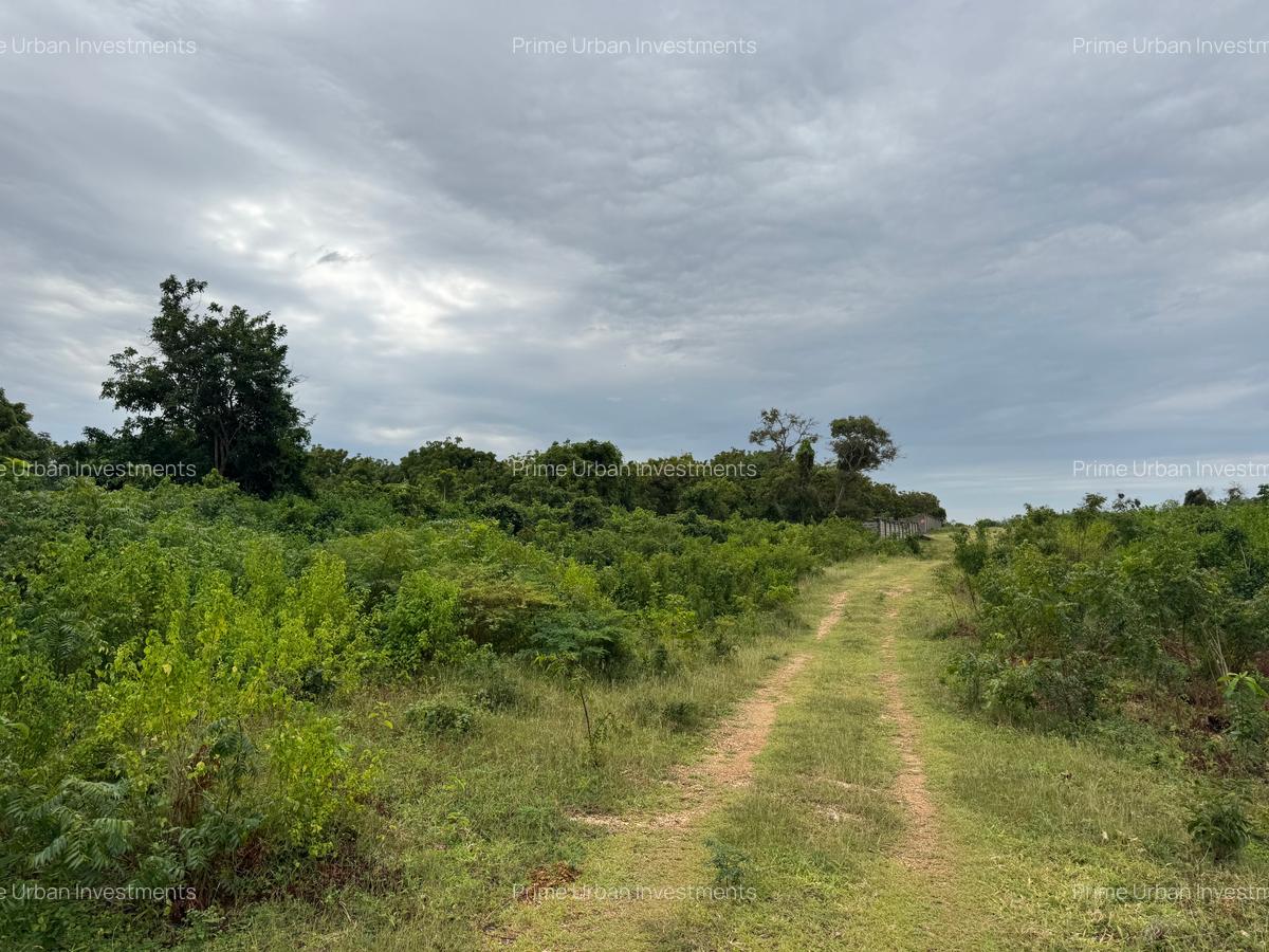 10 ac Land in Vipingo - 4