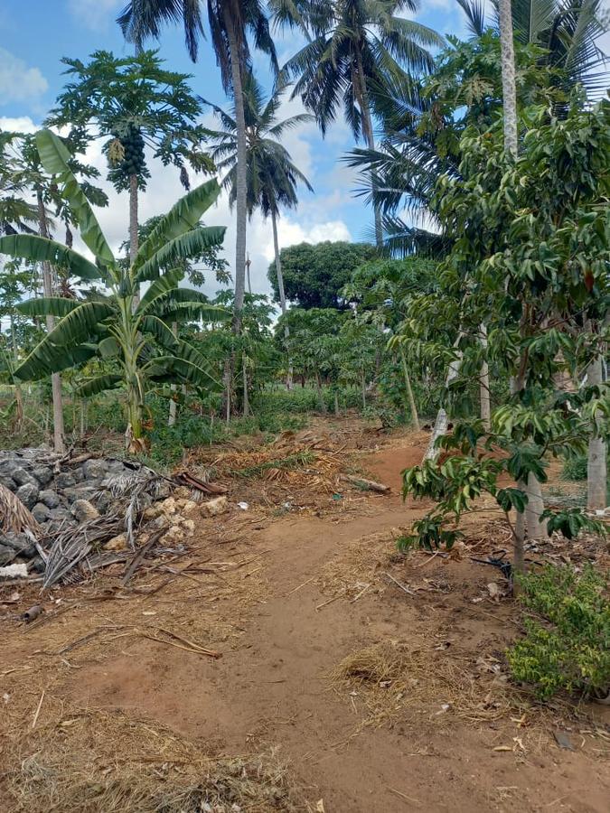 2 ac Land in Ukunda - 2