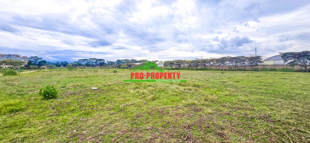 0.05 ha Residential Land in Naivasha - 5