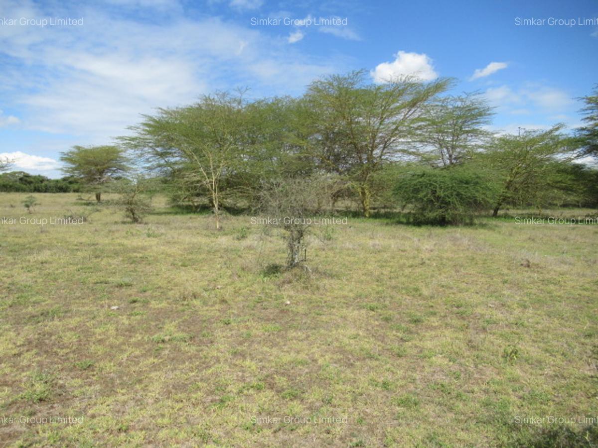 Land at Kitengela - 12