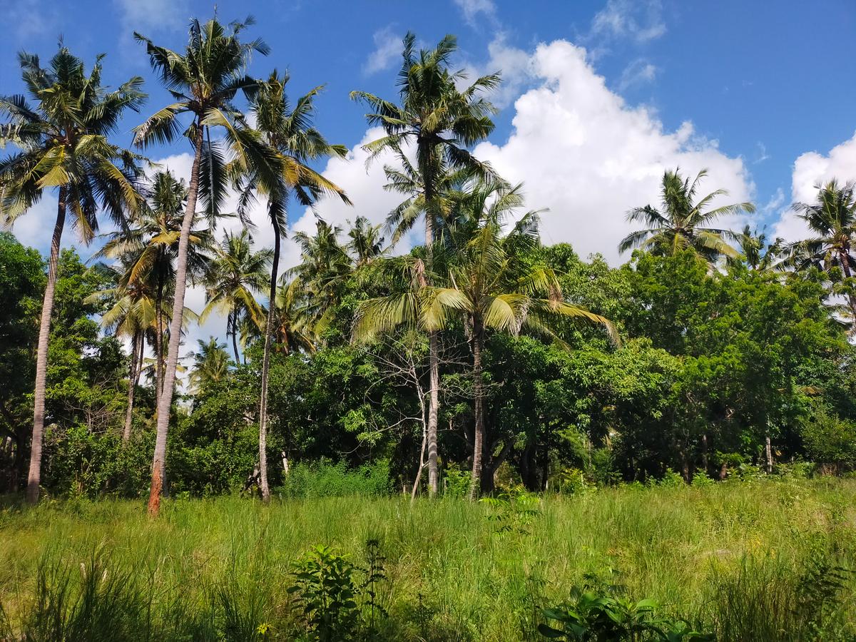 Land in Kilifi County - 7