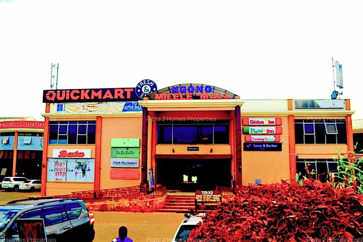 1,000 m² Residential Land at Matasia - 17