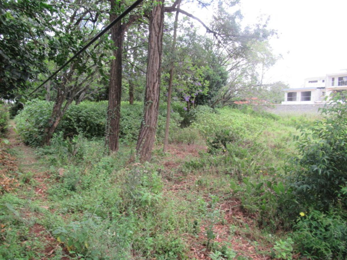 Land at Bogani Rd - 8