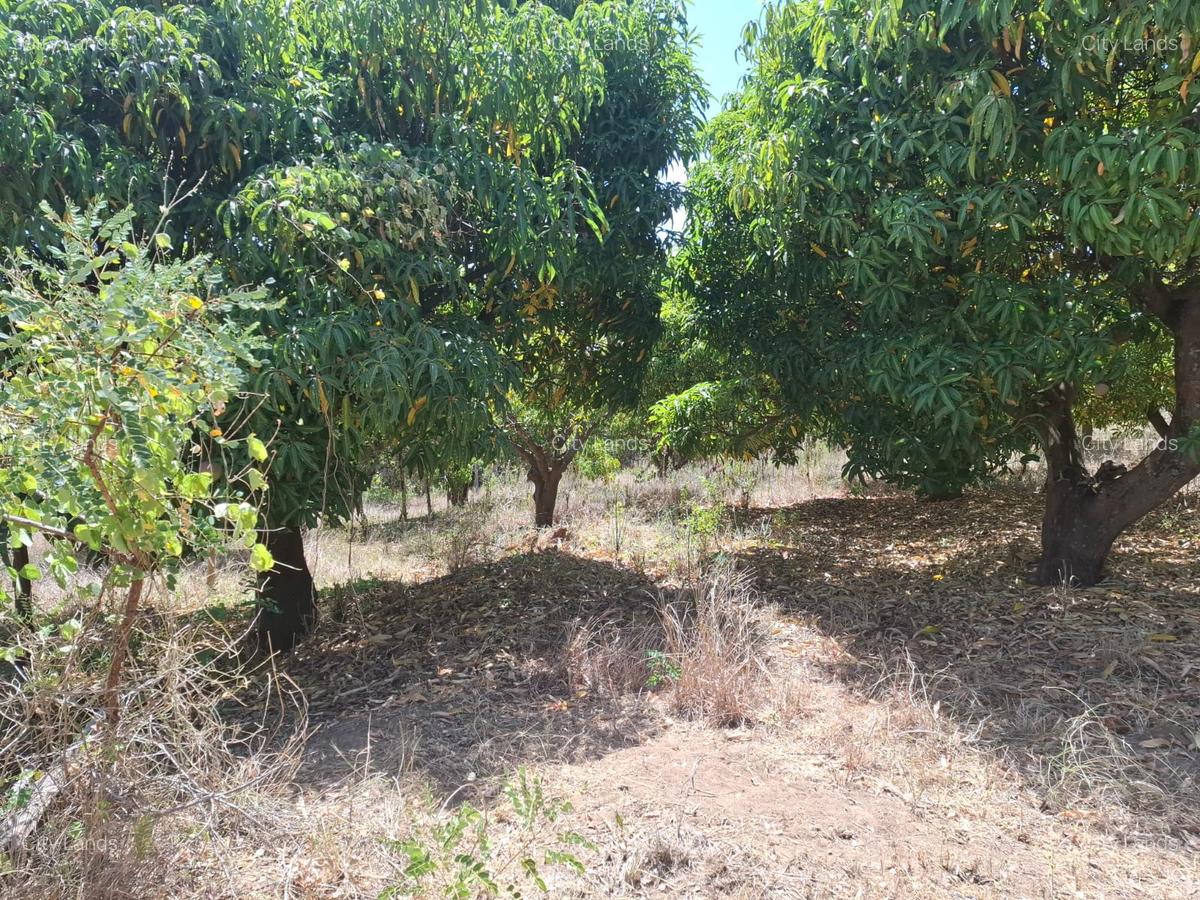 450 ha Residential Land at Sucess Garden Kenol Makuyu - 2