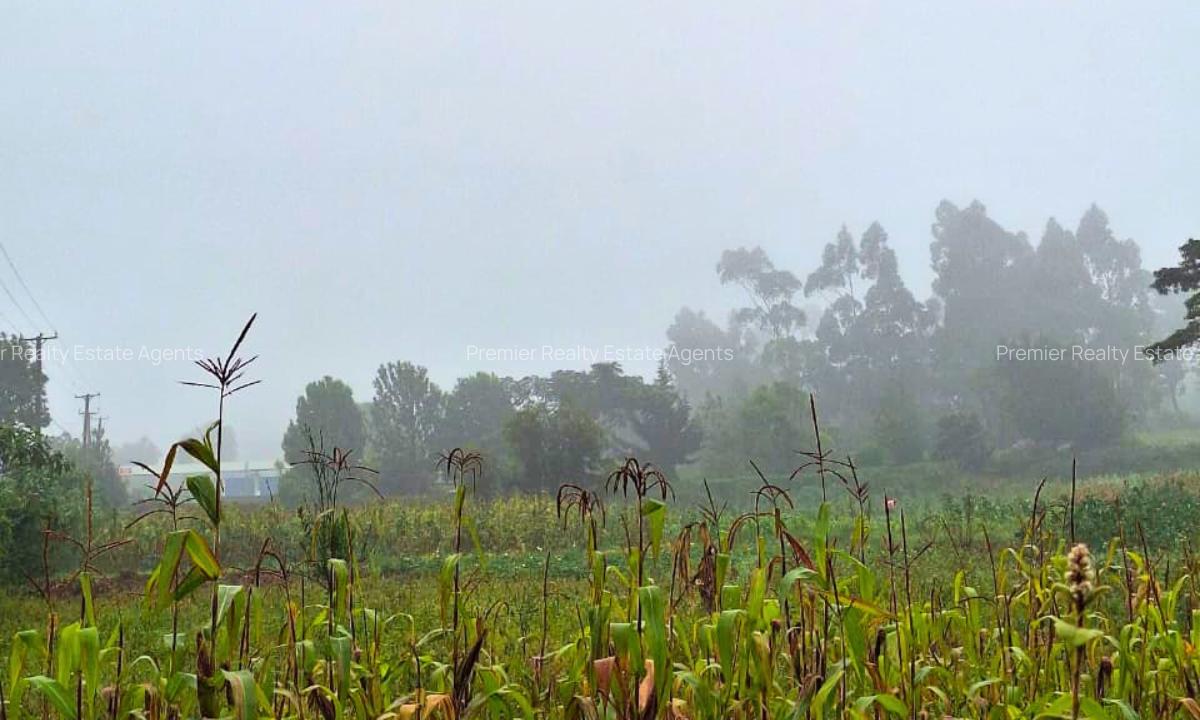 2 ac Commercial Land at Rironi - 4