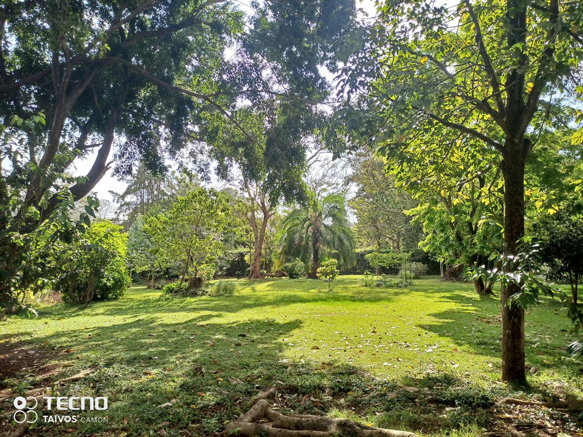 0.5 ac Residential Land at Runda Ridge - 2