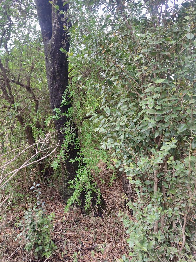 Residential Land at Hardy - 11