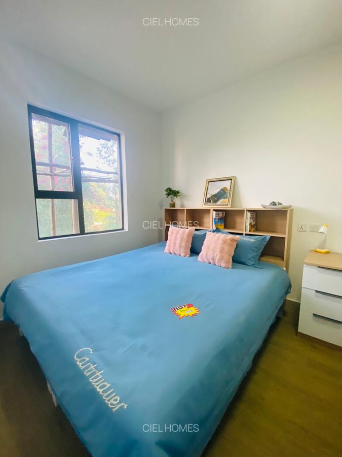 Furnished Studio Apartment with En Suite in Juja - 1