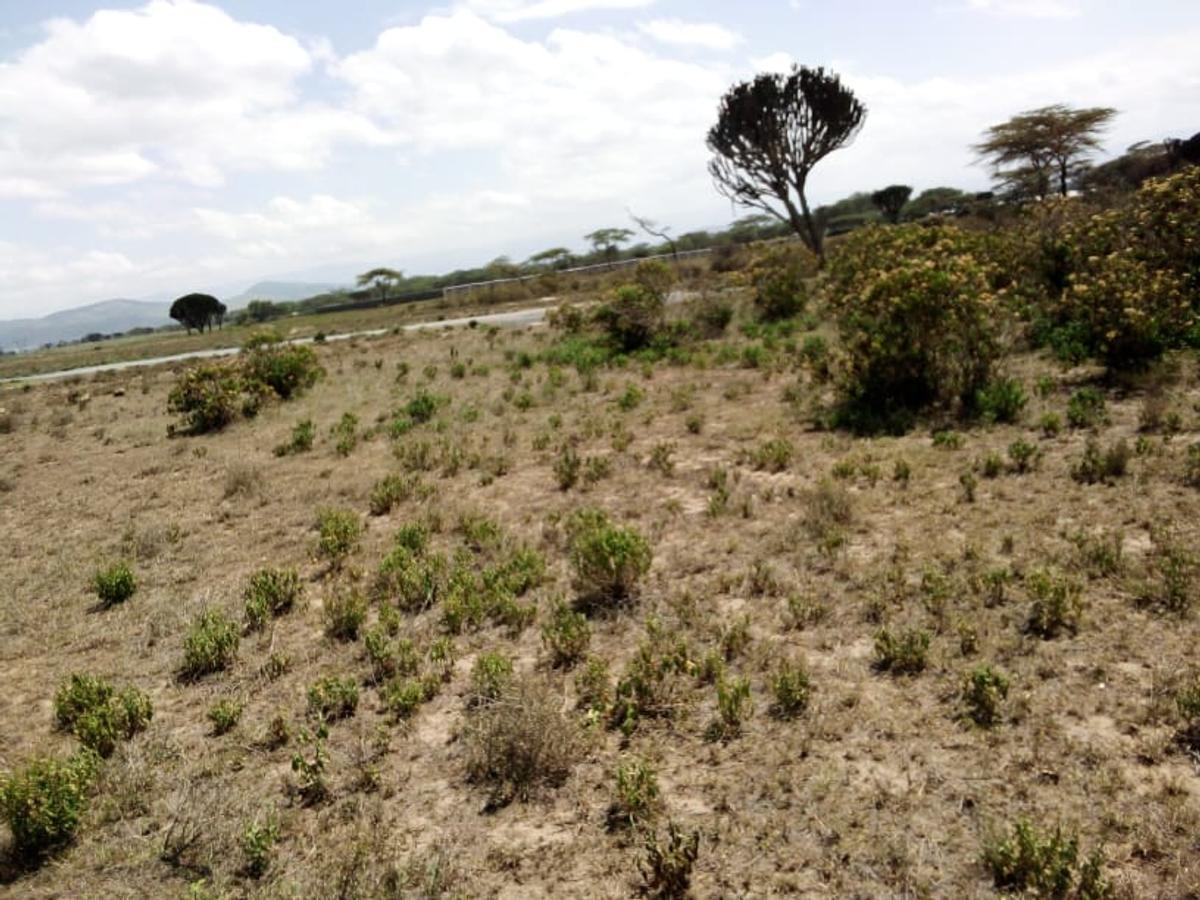 Land in Naivasha - 8