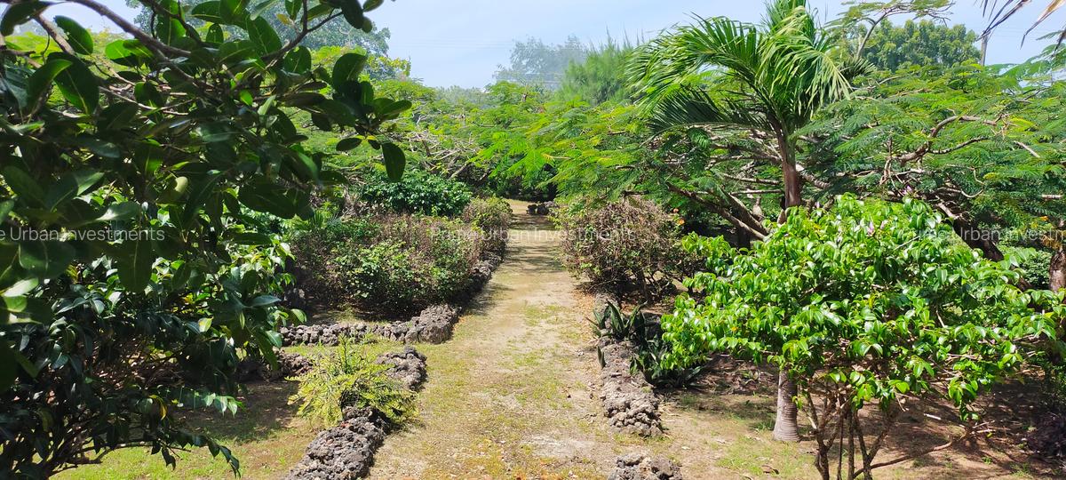 3 Bed House with En Suite in Vipingo - 4