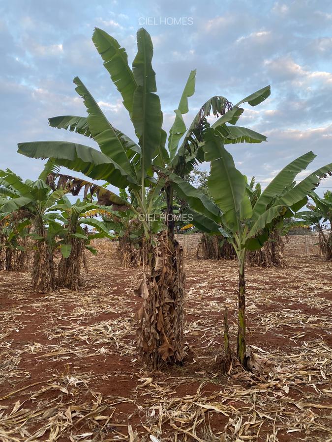 15 ac Land at Thika Road - 2