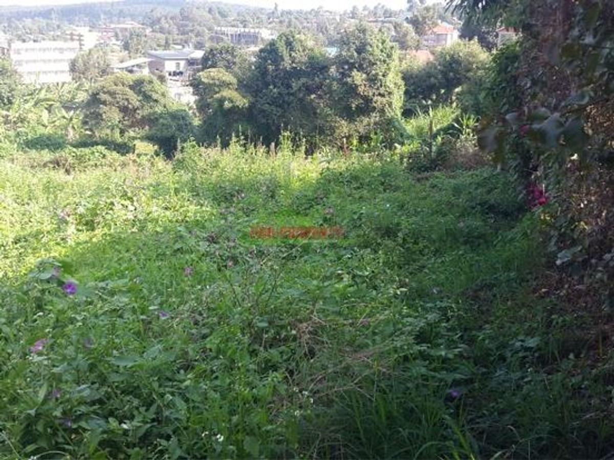 500 m² Commercial Land in Kikuyu Town - 5