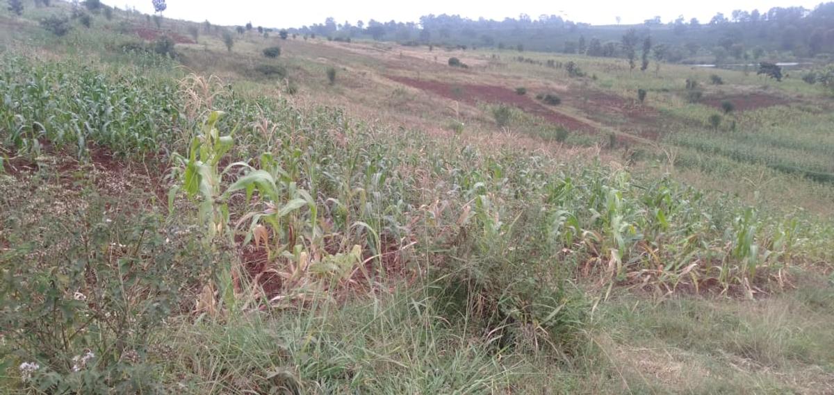 64,000 ft² Land at Kiambu Riabai - 10