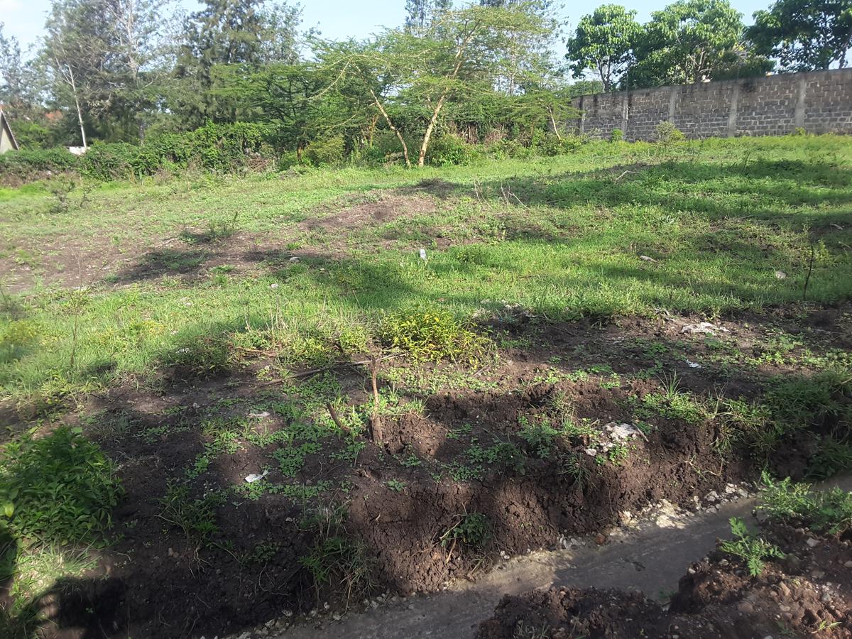 0.25 ac Residential Land in Ongata Rongai - 8