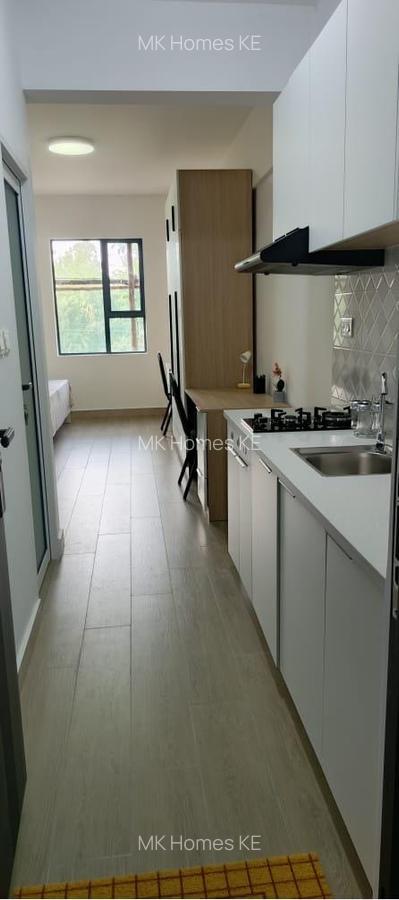 Furnished Studio Apartment with Gym at Juja - 12