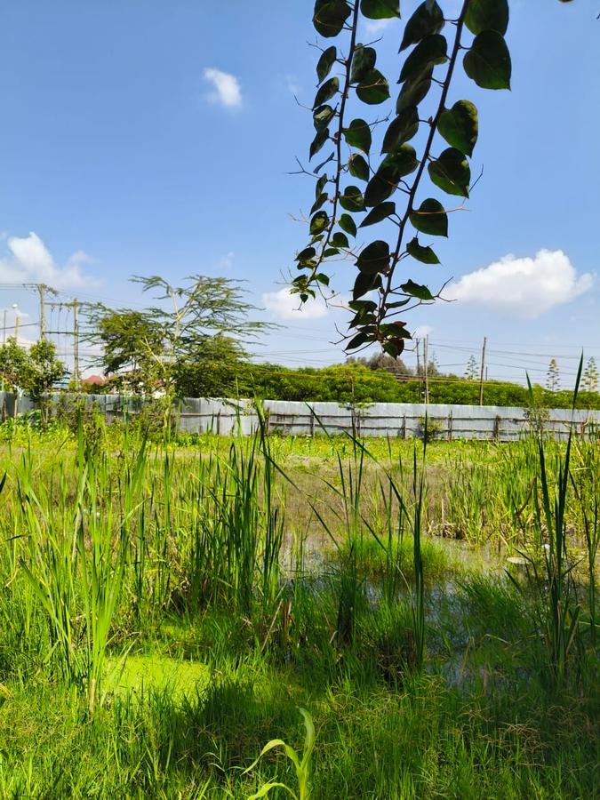 Residential Land at Karen - 10