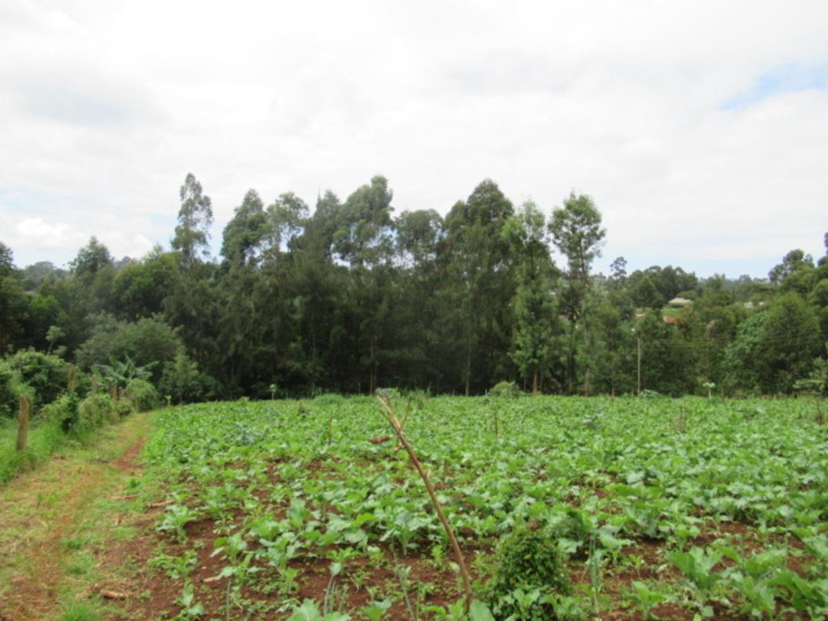 3.25 ac Land at Ngecha-Wangige Rd - 9