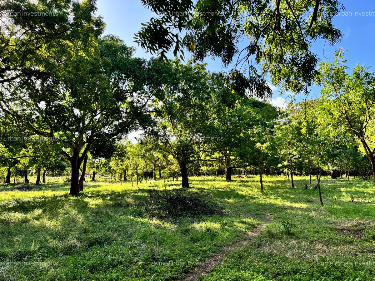 Land in Vipingo - 11