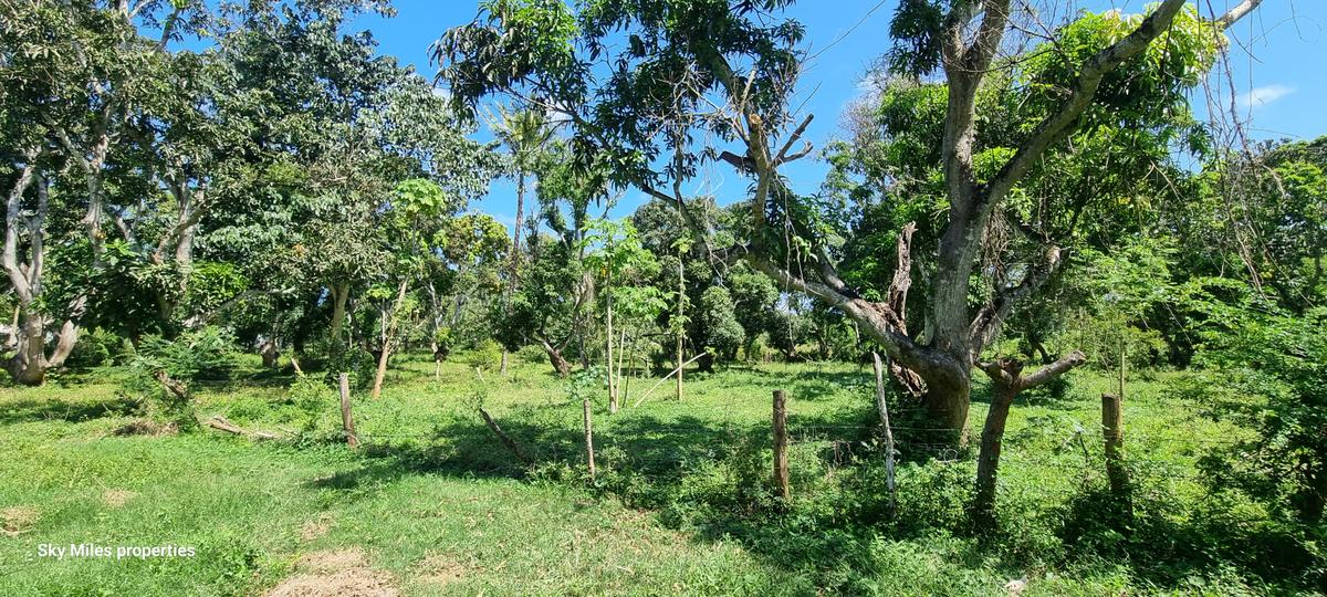 25 ac Land at Mtwapa - 7