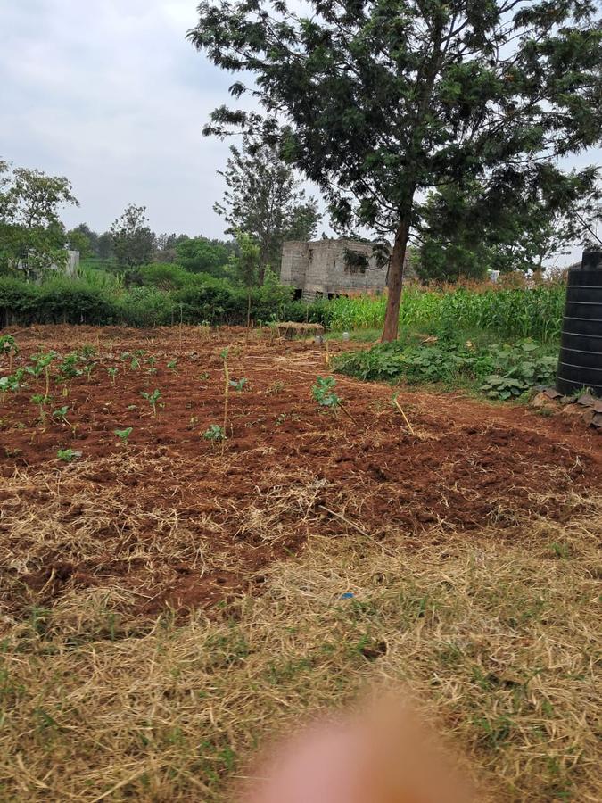 Residential Land at Githunguri -Ruiru - 4