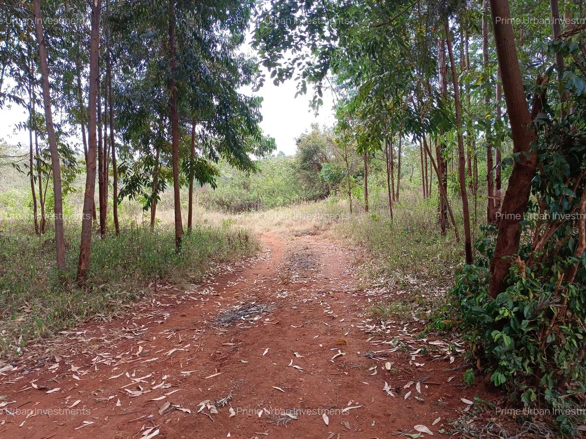 Land in Murang'a County - 11