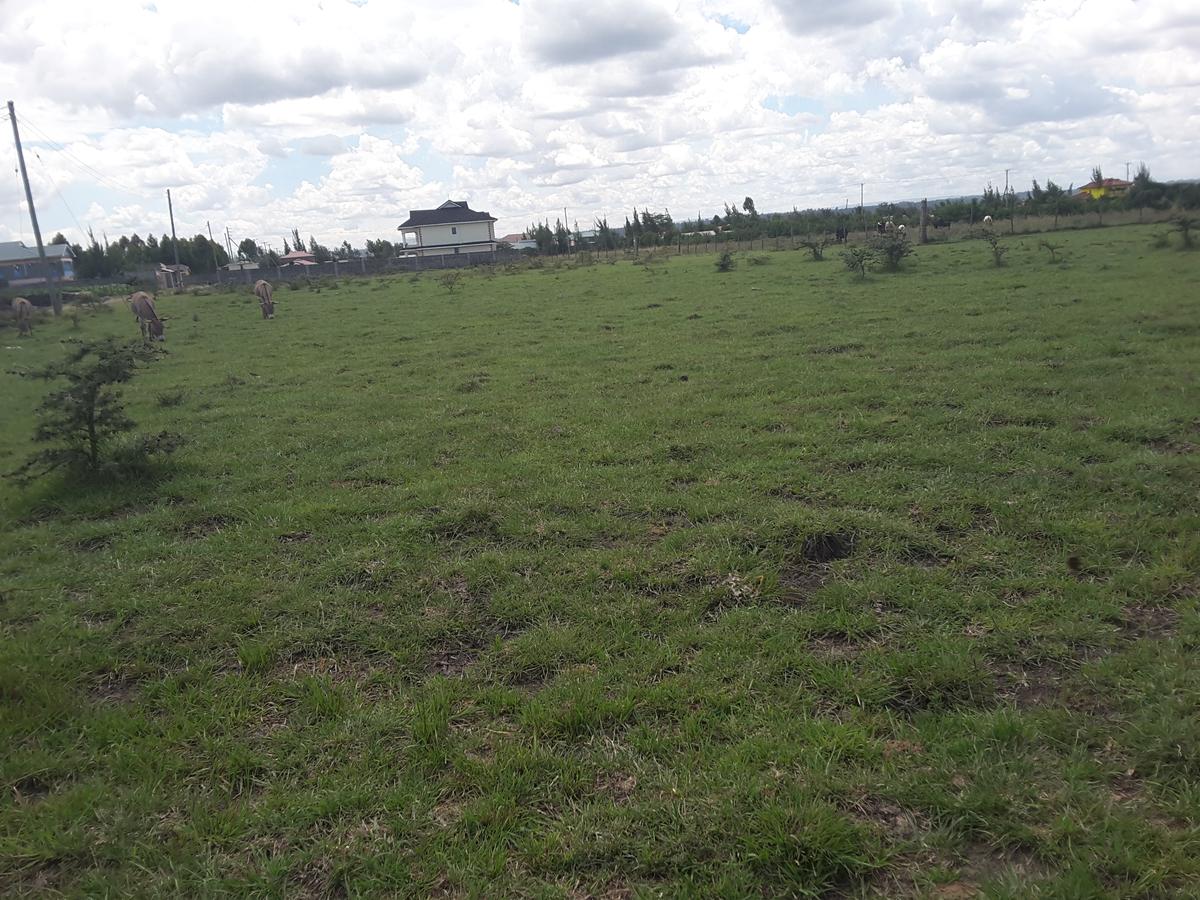 0.1 ha Residential Land in Ongata Rongai - 6