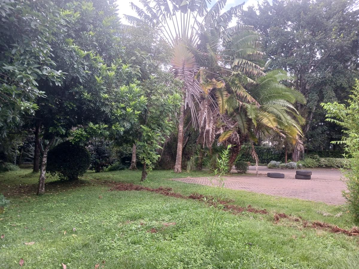 0.8 ac Land at Lavington - 11