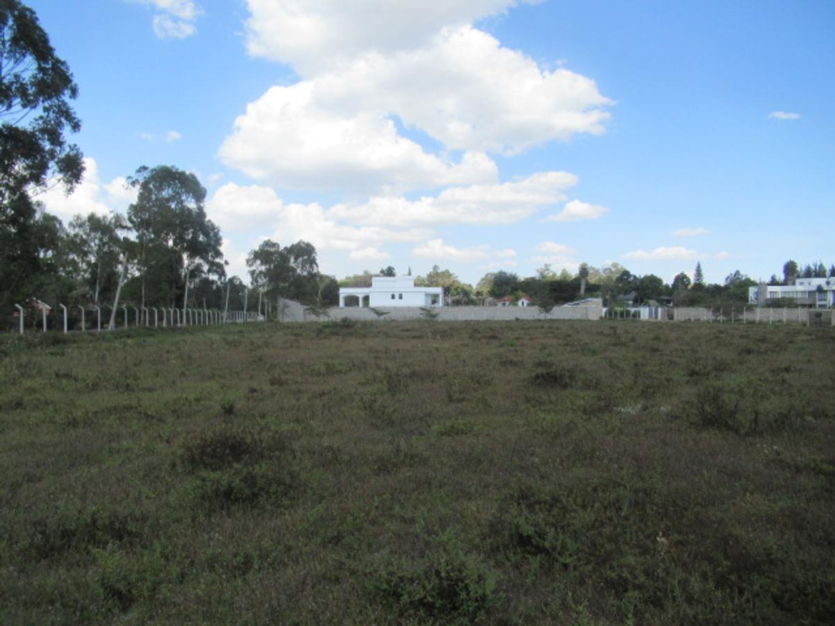 Land at Karen - 9