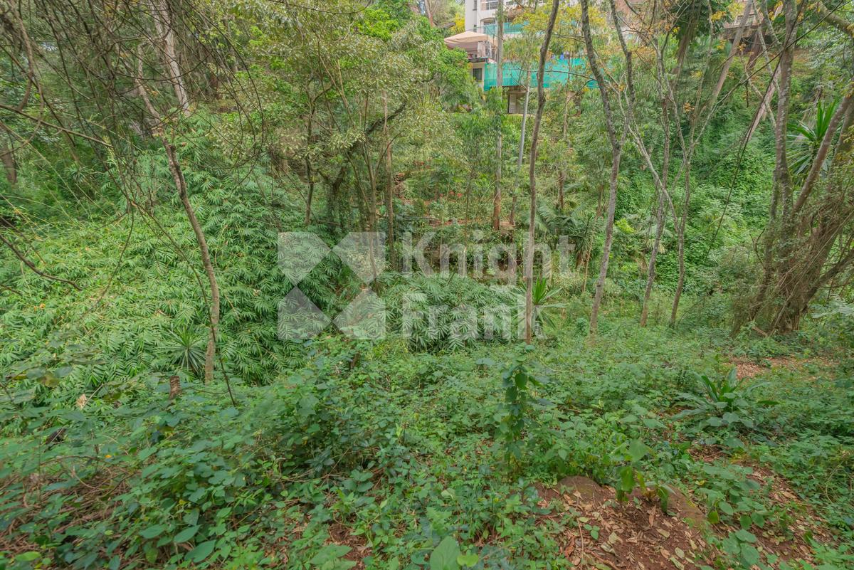 0.5 ac Land at Kitisuru Road - 4