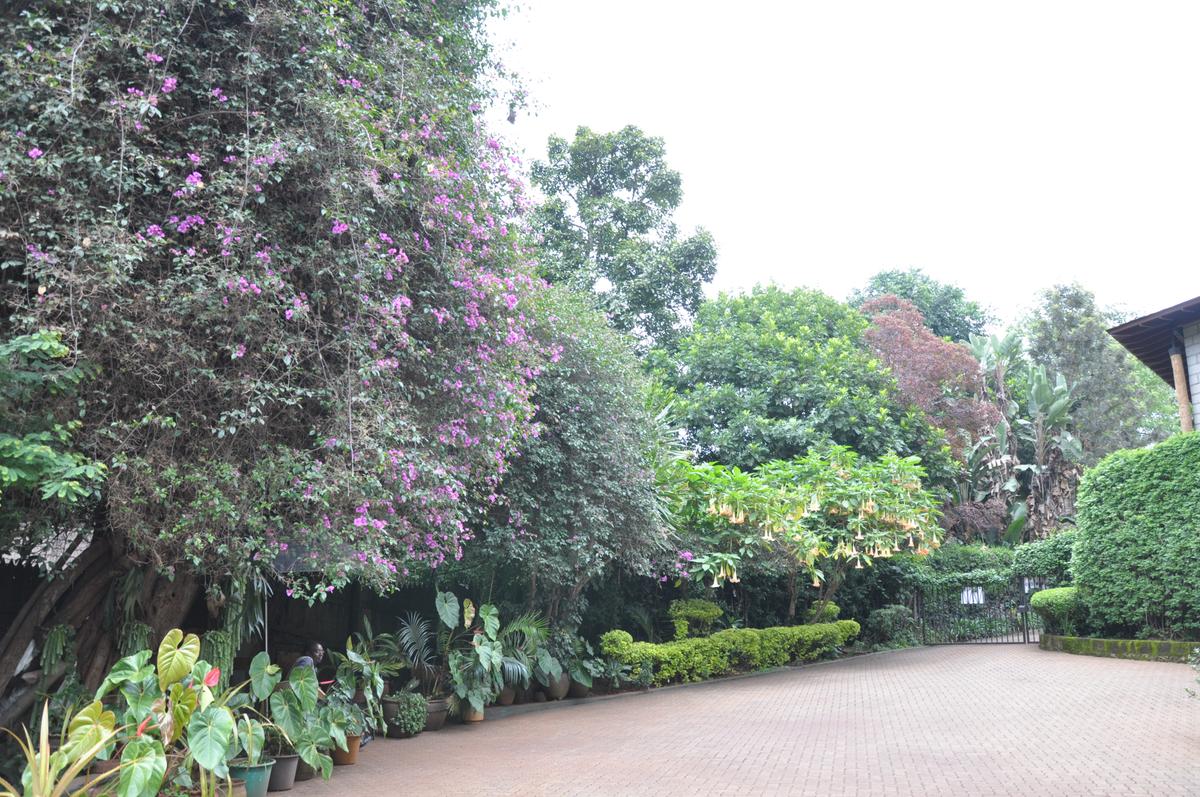 4 Bed House with En Suite at Muthaiga Road - 5 4 Bed House with En Suite at Muthaiga Road - 5