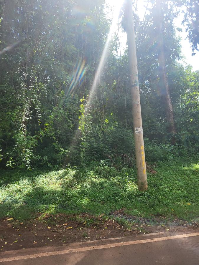 Land in Karen - 4